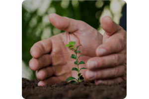 Засоби захисту рослин